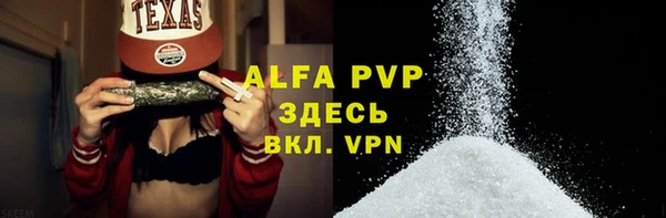 круглые Белокуриха