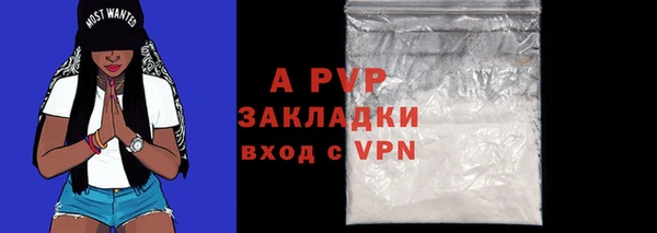 круглые Белокуриха