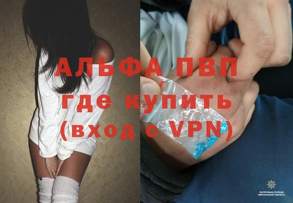 круглые Белокуриха