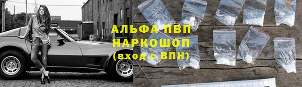 прущие крисы Беломорск