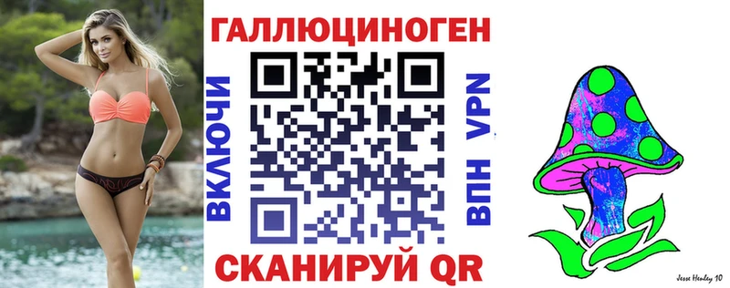 Купить где  Арск  Галлюциногенные грибы Psilocybe 